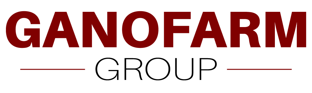 Read more about the article Sales Executive