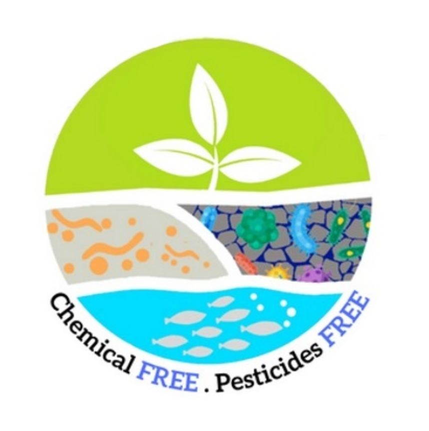 Read more about the article IT Engineer