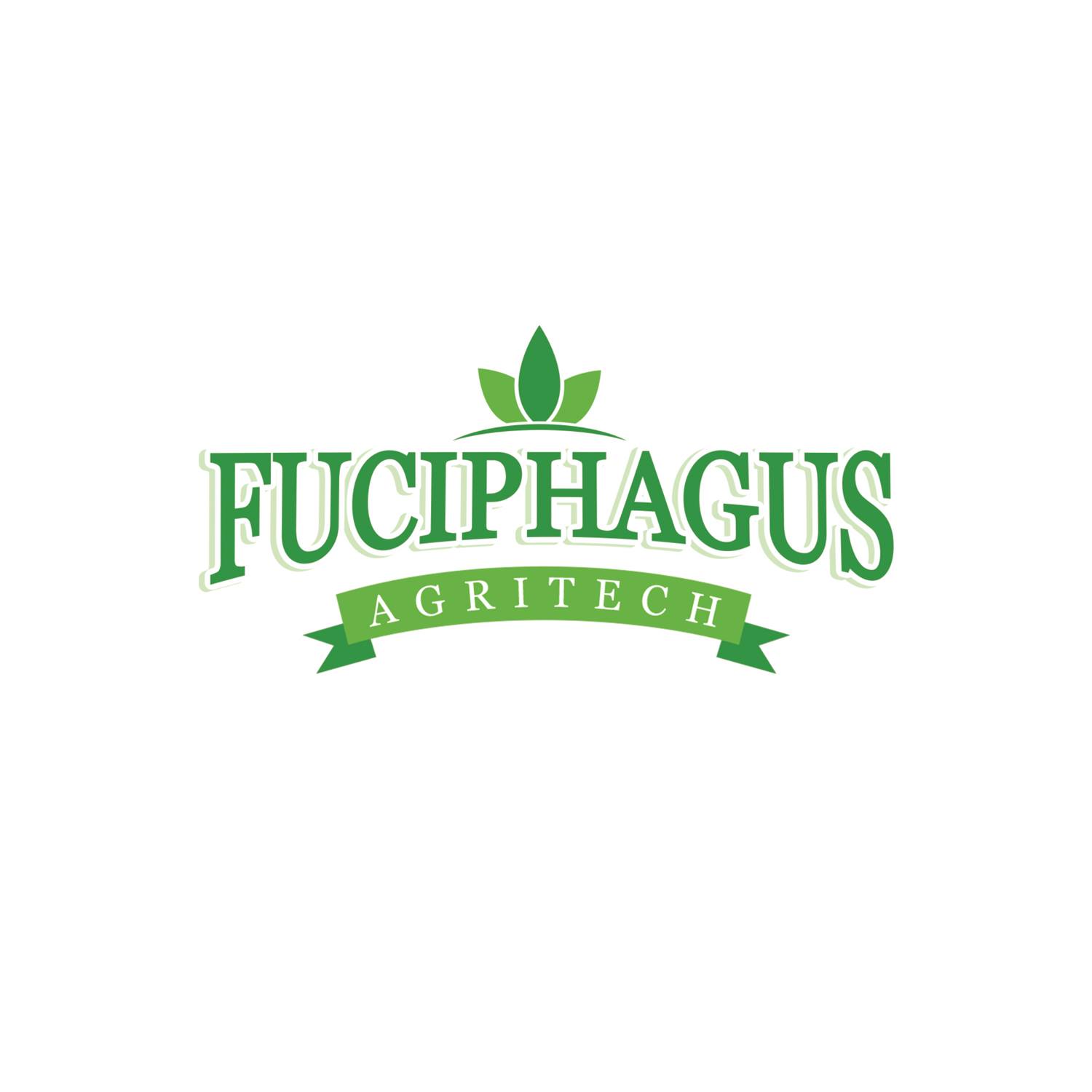 Read more about the article Sales Manager