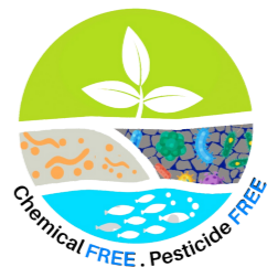 Read more about the article [BeST 2.0] Supply Chain Executive