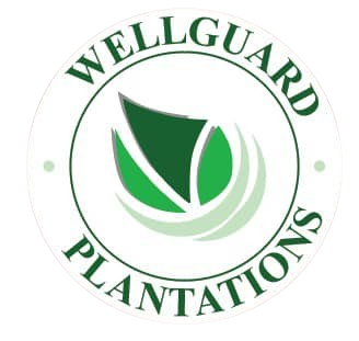 Read more about the article BeST 2.0 – Tissue Culture Lab Executive (R&D)