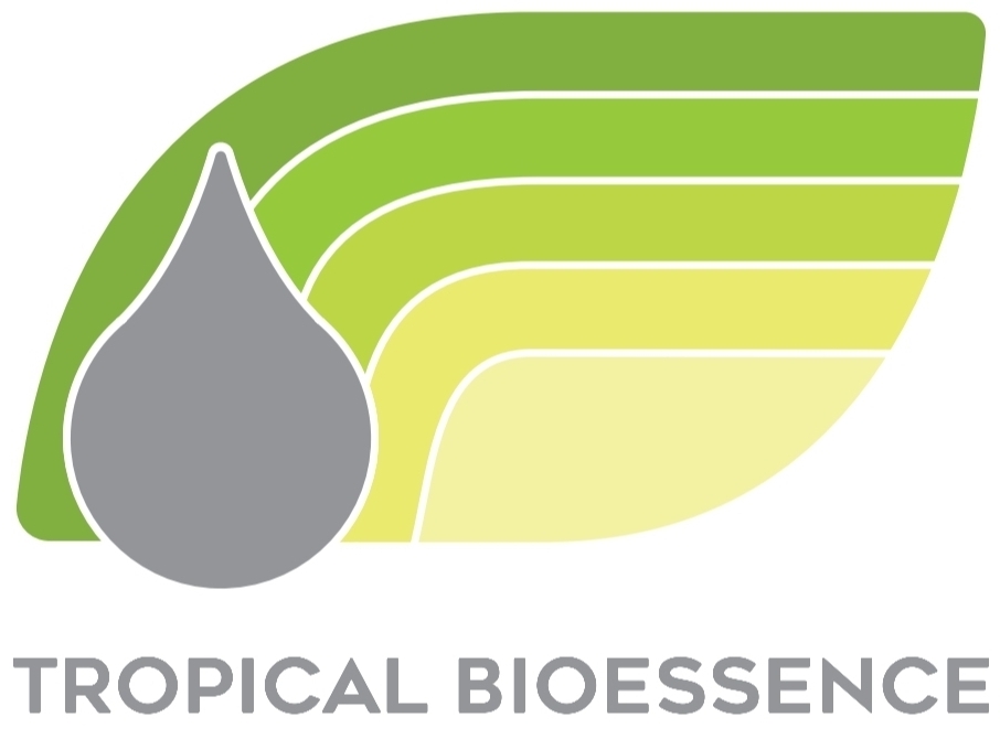 Read more about the article OPERATION EXECUTIVE